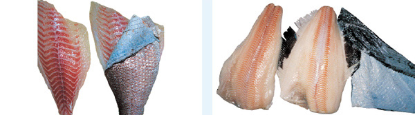 Skinning fish fillets