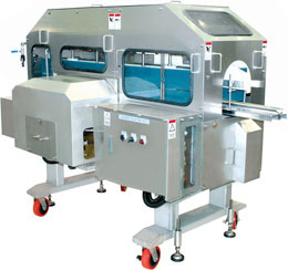 Filleting machine for salmon fish