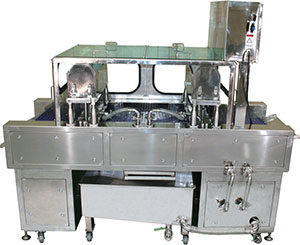 Injection machine fish fillets