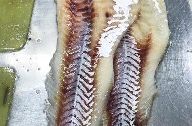 22.01.20 / And the fish yield on the skinning machine is simply amazing !!!
